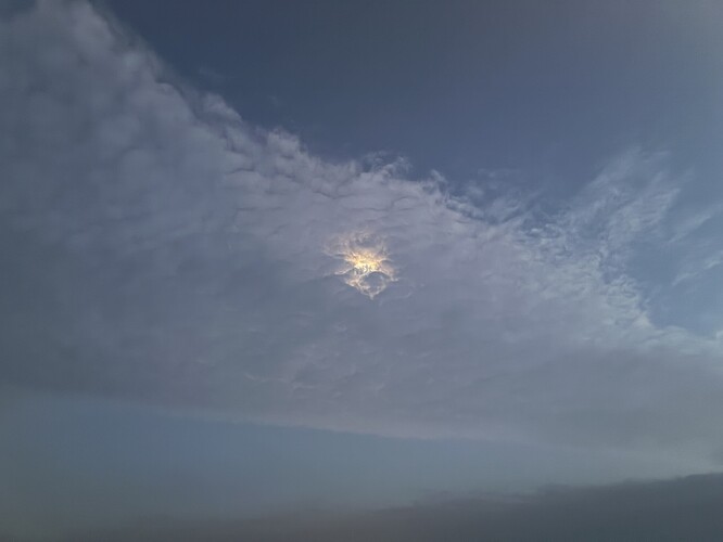 74754EE1-41B9-4DCC-B4C8-B49014F0EF63_1_102_o