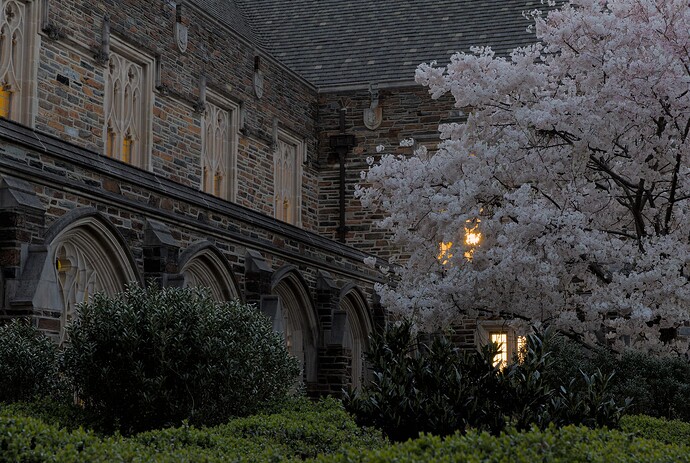 Brodhead in Blossom mk.2 (overcast)