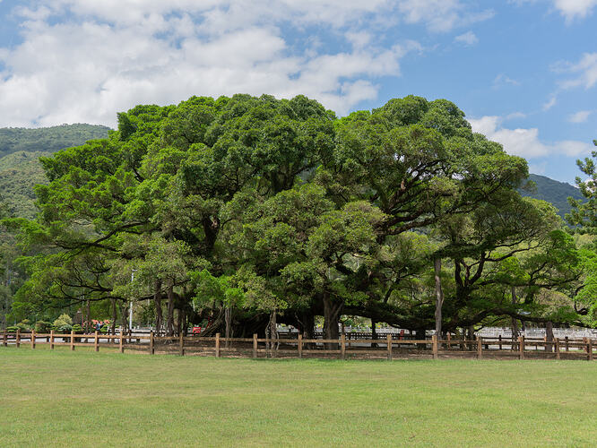 DSC00333