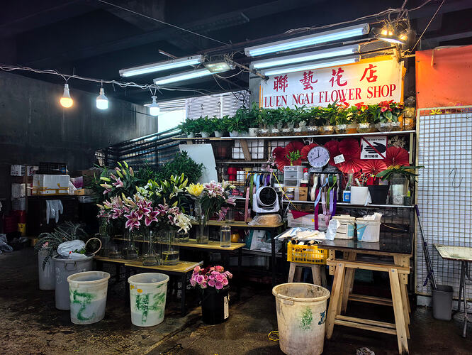 IMG_20240722_080039